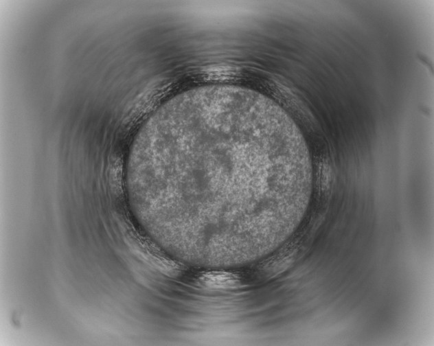 X0000102030557200808151344