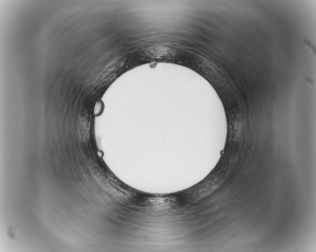 X0000102030558200808151344