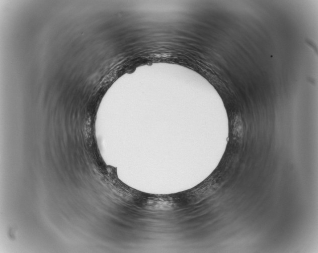 X0000102030559200808151344