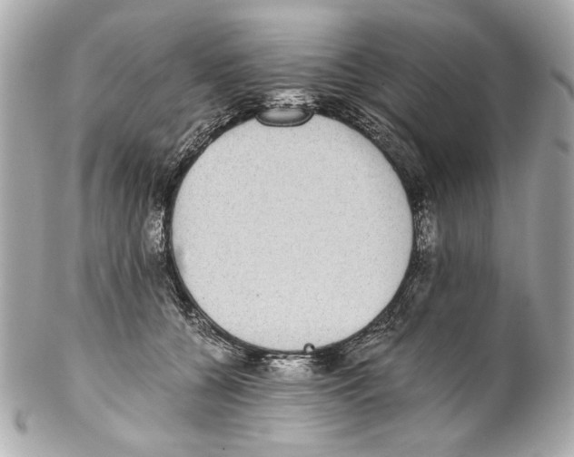 X0000102030560200808151345