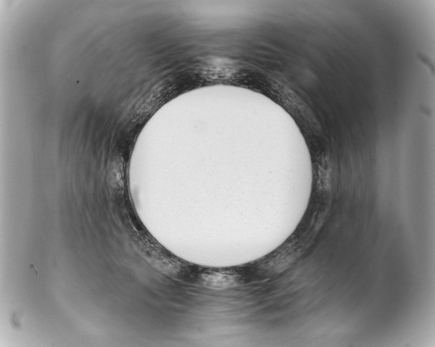 X0000102030561200808151345