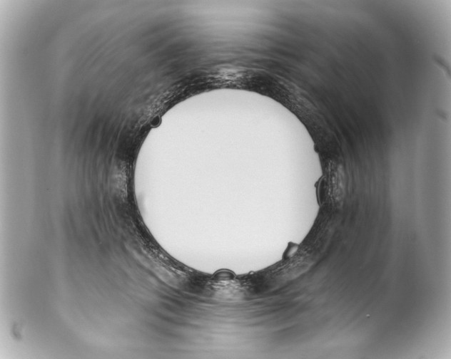 X0000102030562200808151345