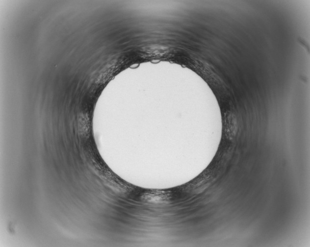 X0000102030563200808151345