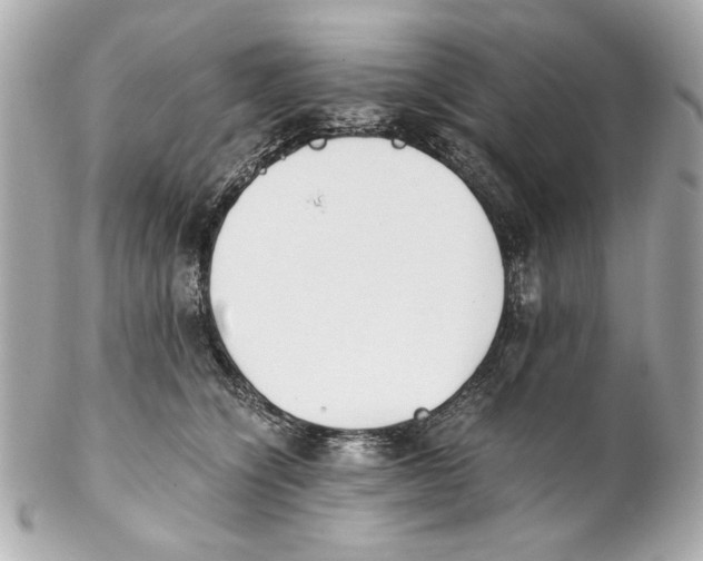 X0000102030564200808151345