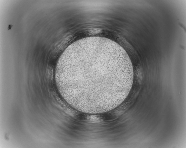 X0000102030565200808151345