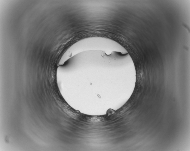 X0000102030566200808151345