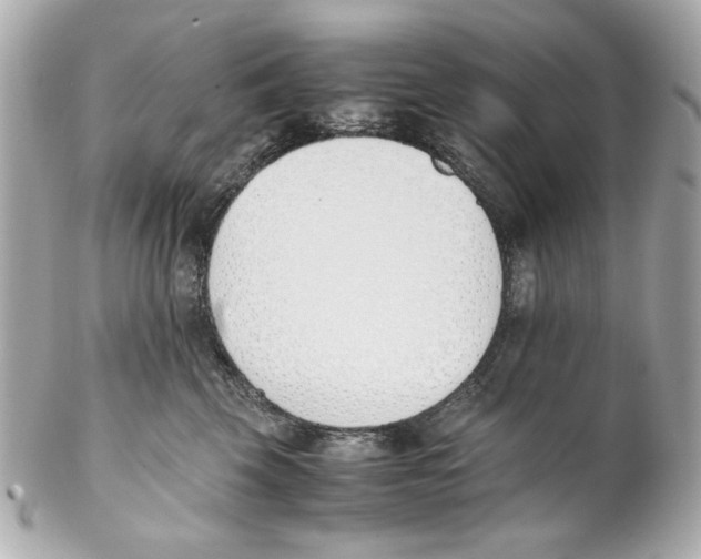 X0000102030569200808151345