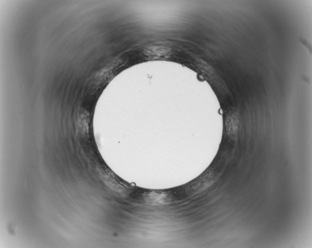 X0000102030570200808151345