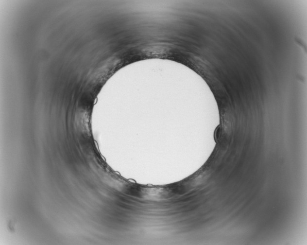 X0000102030575200808151345