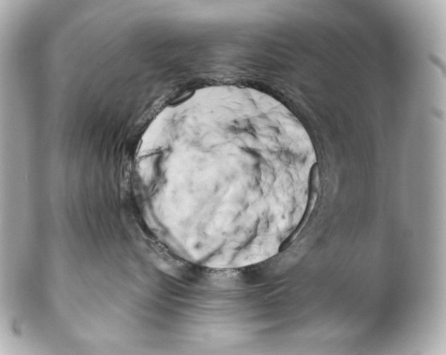 X0000102030576200808151345