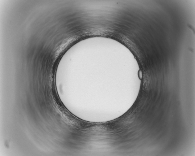 X0000102030578200808151344