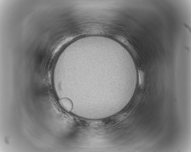 X0000102030579200808151344