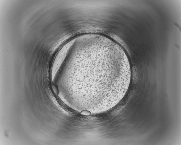 X0000102030581200808151344