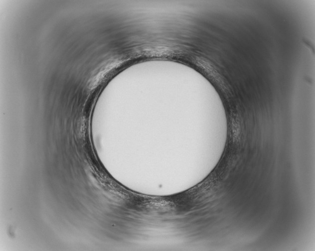 X0000102030583200808151344