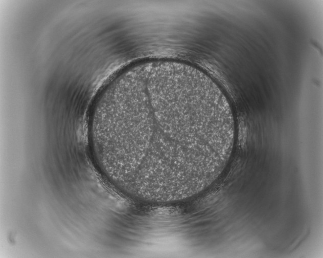 X0000102030584200808151344