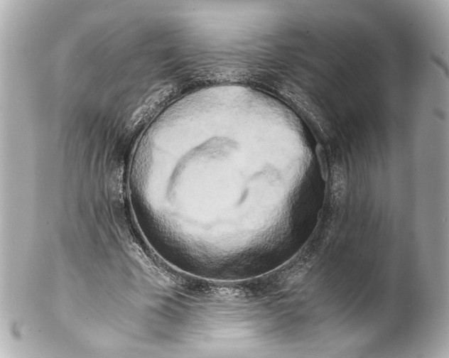 X0000102030585200808151344