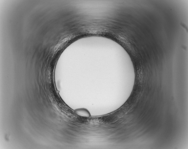 X0000102030587200808151344