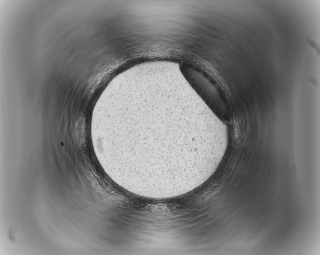 X0000102030588200808151344