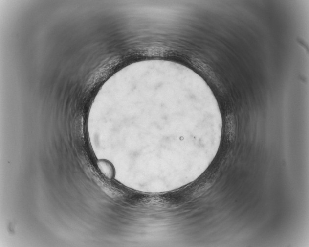 X0000102030589200808151344