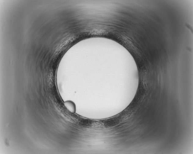 X0000102030591200808151344