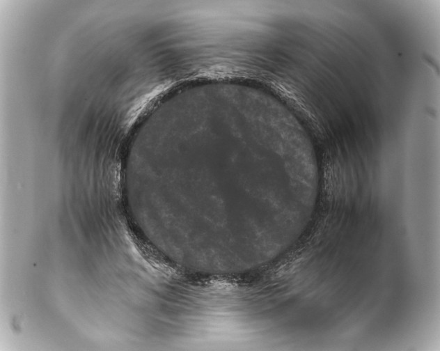 X0000102030592200808151344