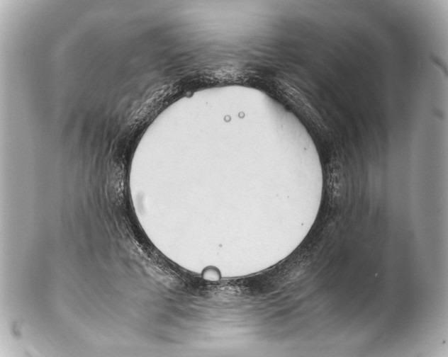 X0000102030593200808151344