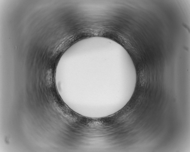 X0000102030594200808151344