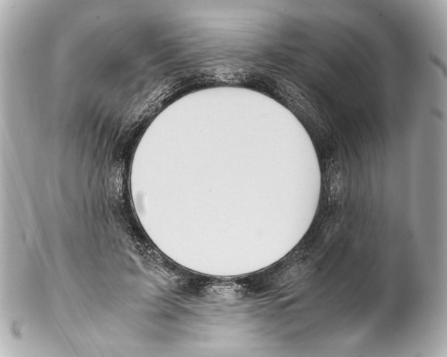 X0000102030595200808151344