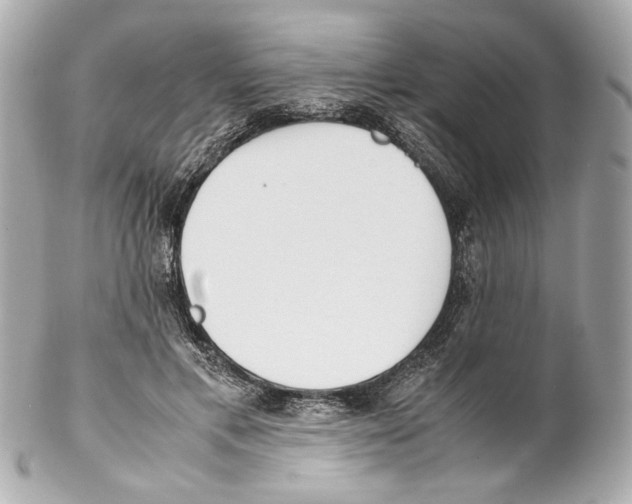 X0000102030597200808151344