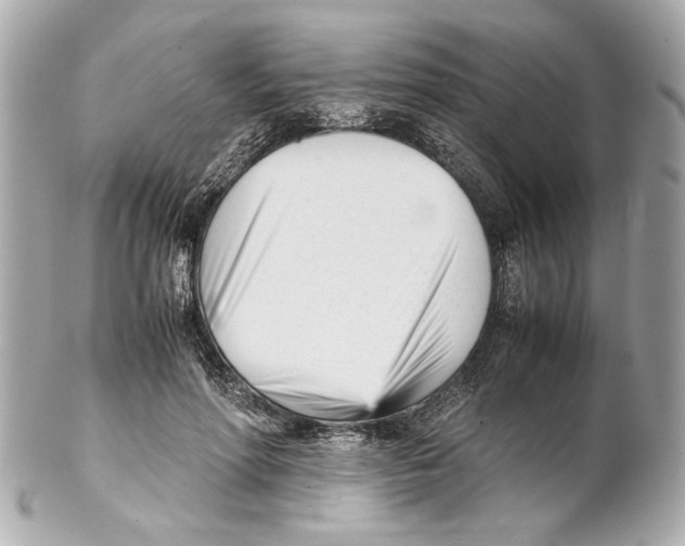 X0000102030598200808151344