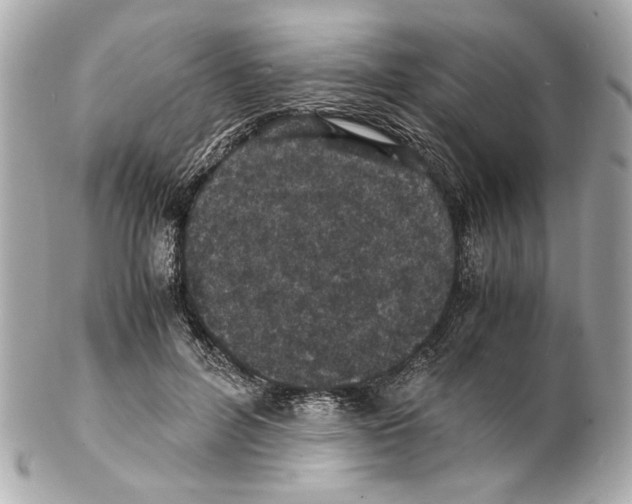 X0000102030600200808151344