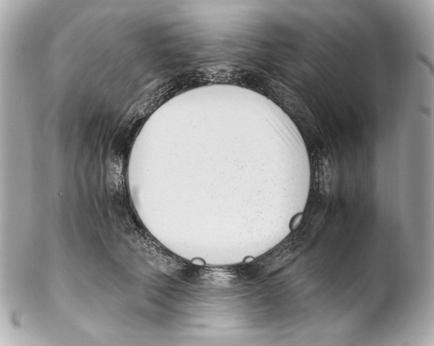 X0000102030610200808151343