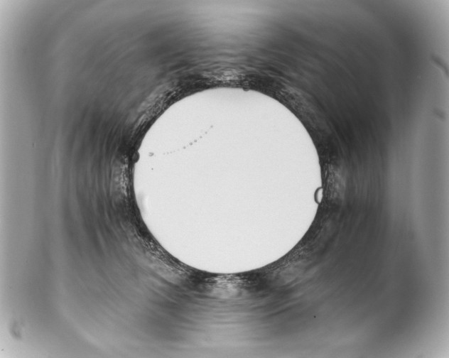 X0000102030612200808151343