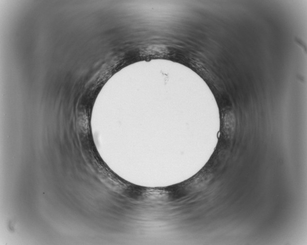 X0000102030617200808151343