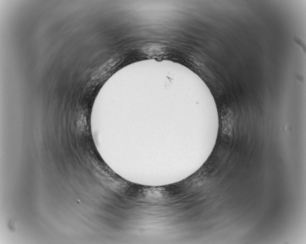 X0000102030618200808151343