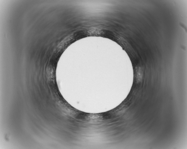 X0000102030619200808151343