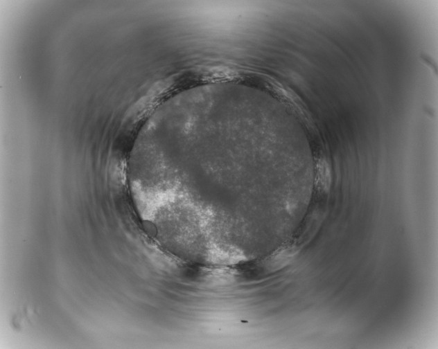 X0000102030621200808151343