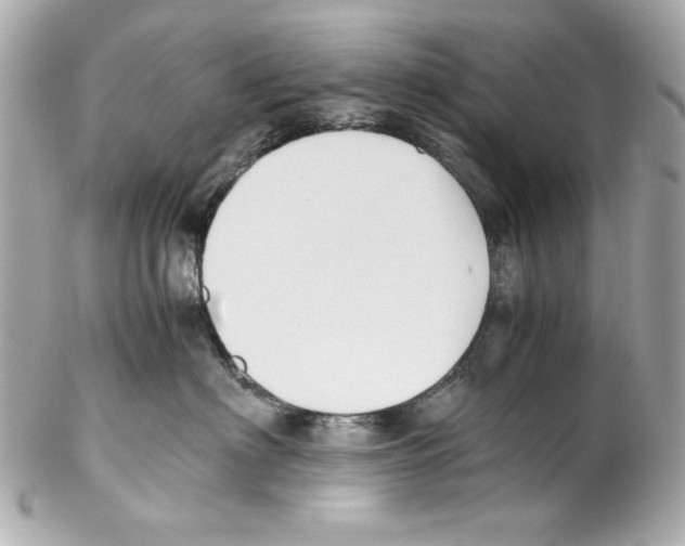 X0000102030622200808151343