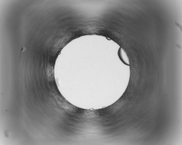 X0000102030624200808151343