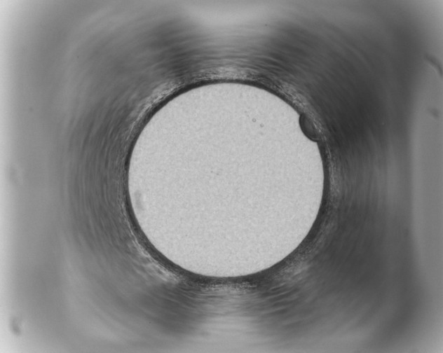 X0000102030625200808151342