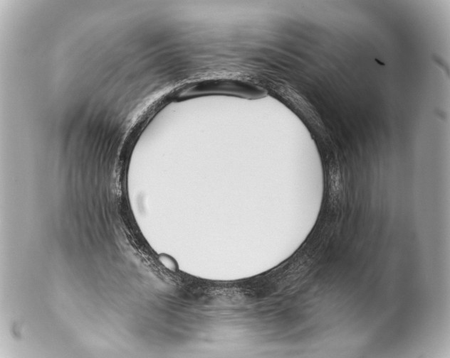 X0000102030628200808151342