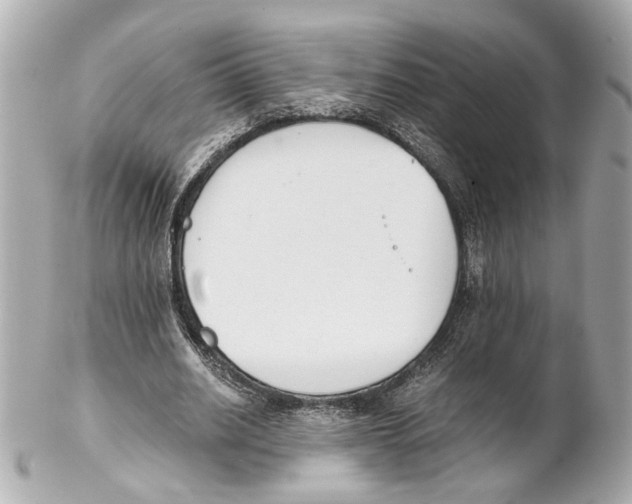 X0000102030630200808151342