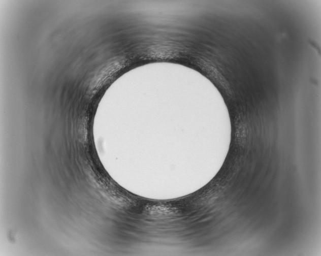 X0000102030635200808151342