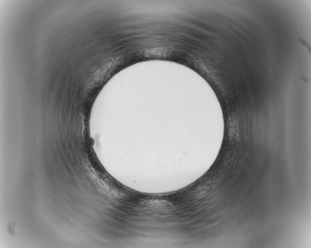 X0000102030637200808151342