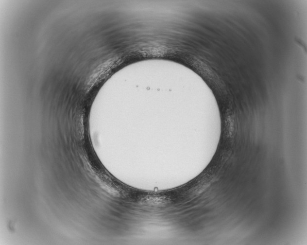 X0000102030638200808151342