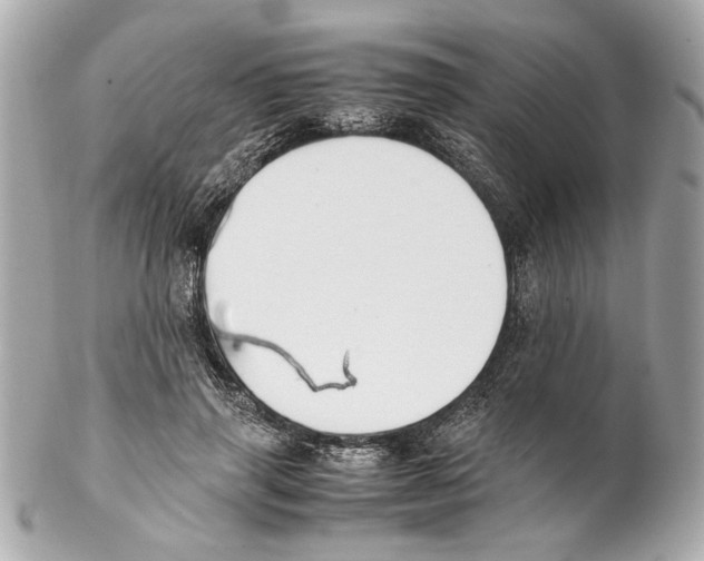 X0000102030645200808151342