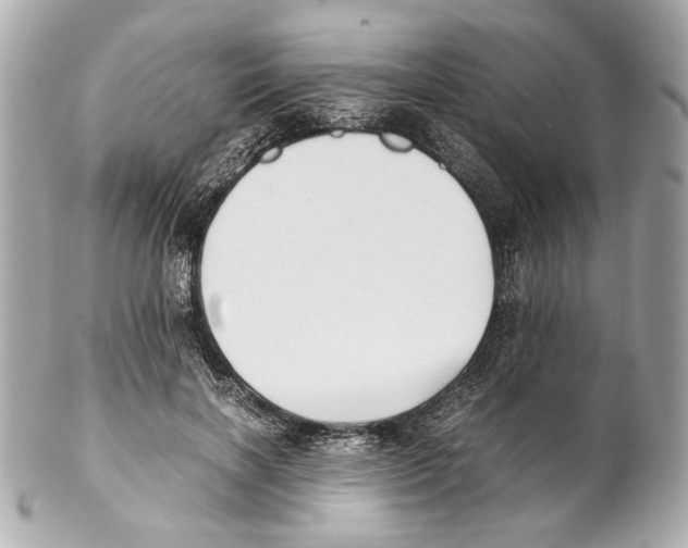 X0000102030646200808151342