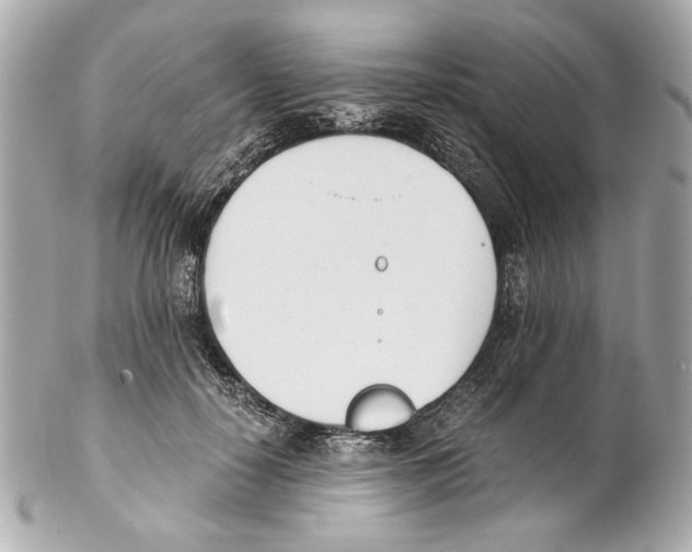 X0000102030650200808151342