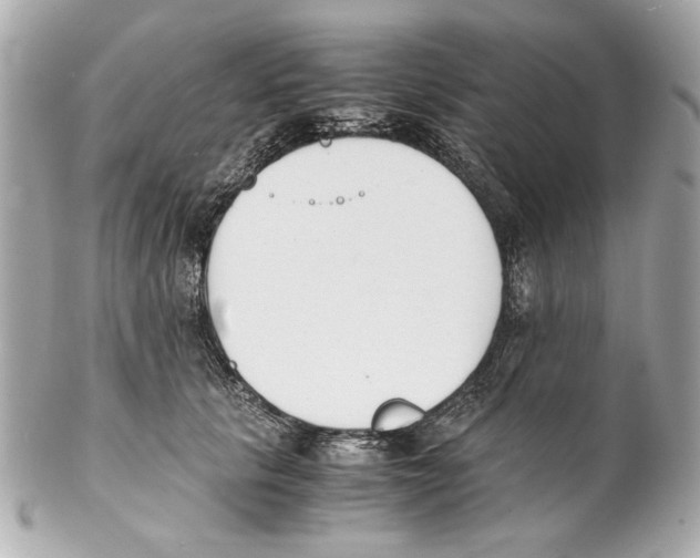 X0000102030657200808151343