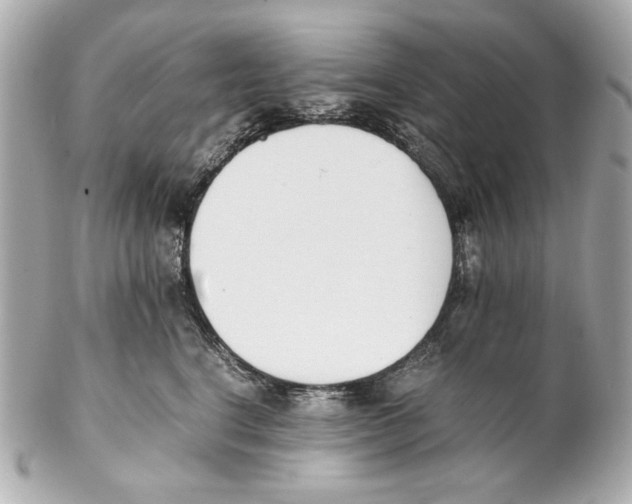 X0000102030664200808151343